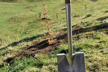 Tree Planting Ceremony to Commemorate New Forestry