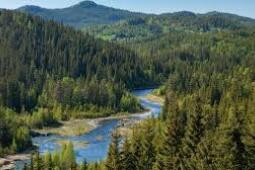 Tuwharetoa Otarahanga Farm Forestry Development