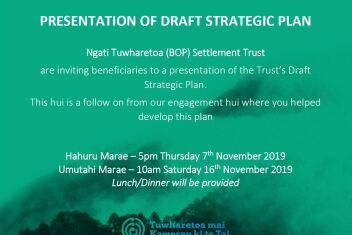 Presentation of Draft Strategic Plan
