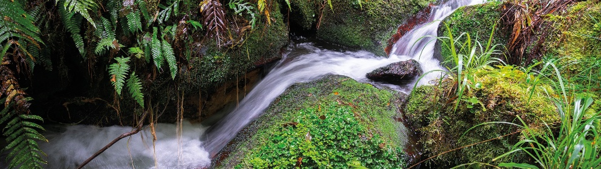 River Trickle small